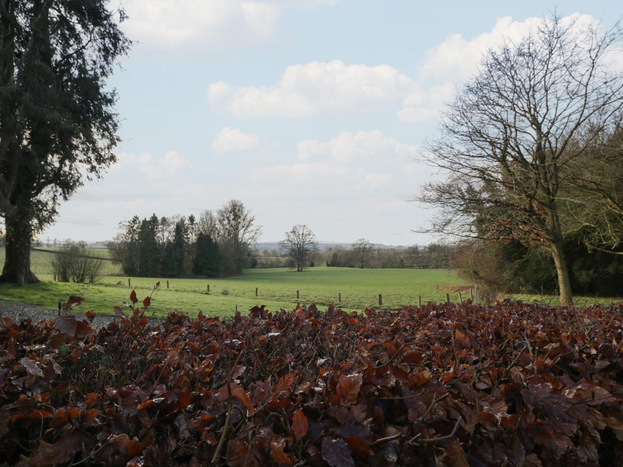 Woodlands Cottage Leominster Dış mekan fotoğraf